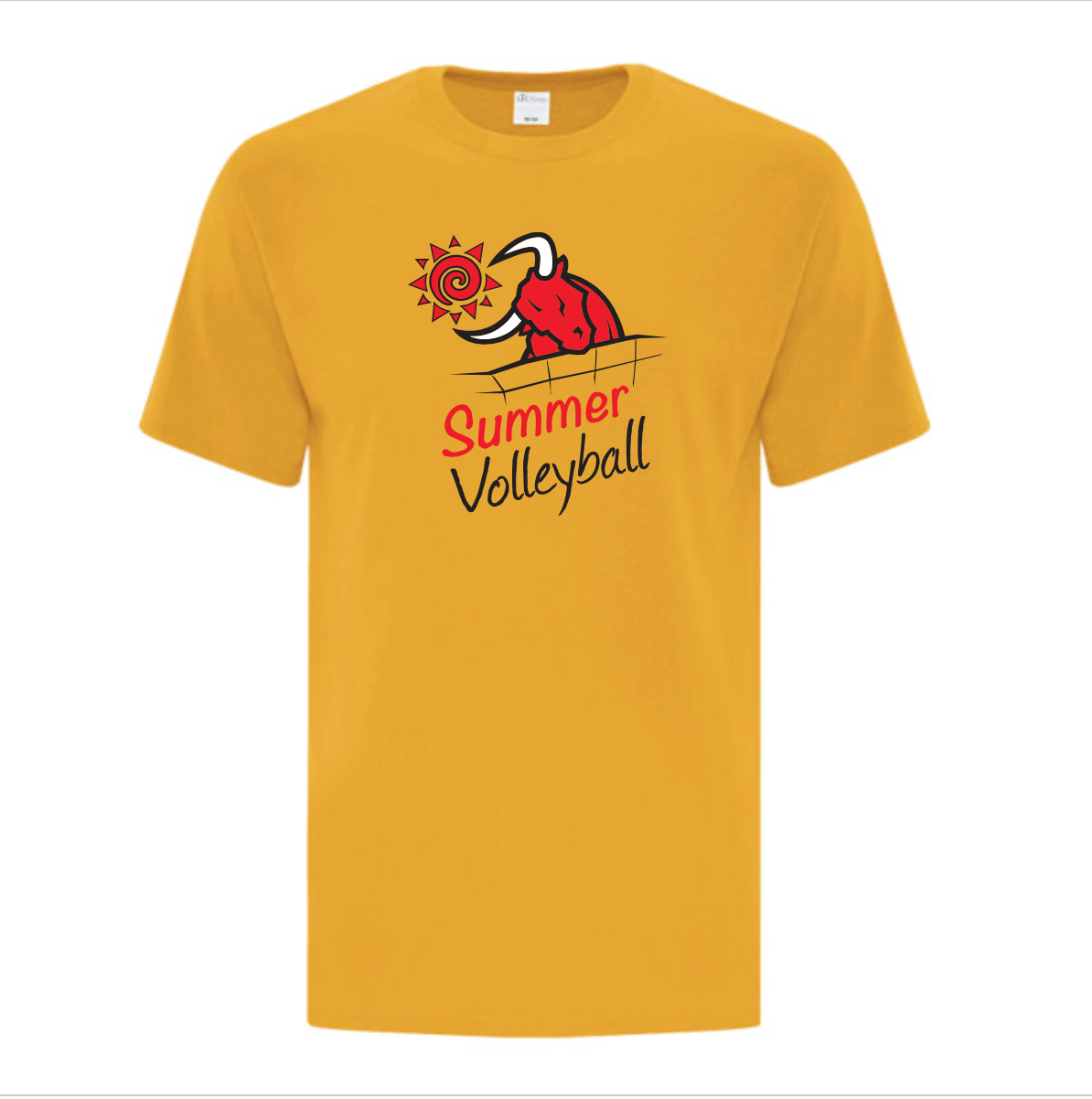 Summer Volleyball SS Tee