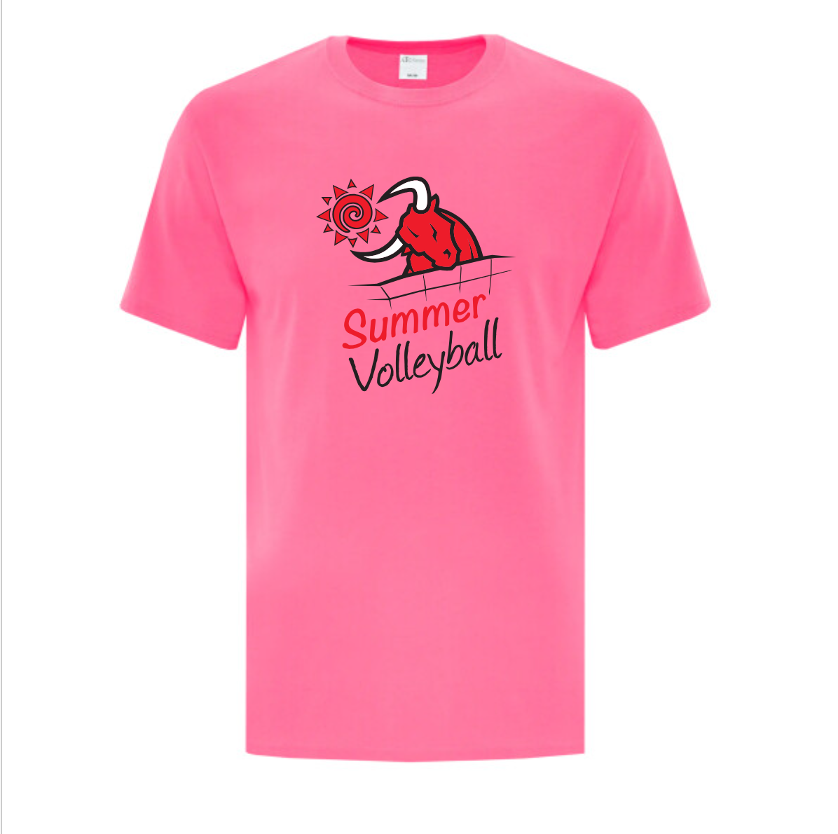 Summer Volleyball SS Tee