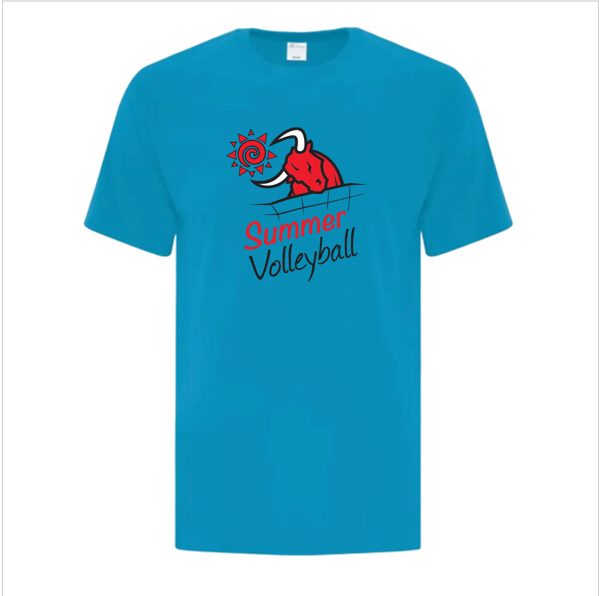 Summer Volleyball SS Tee
