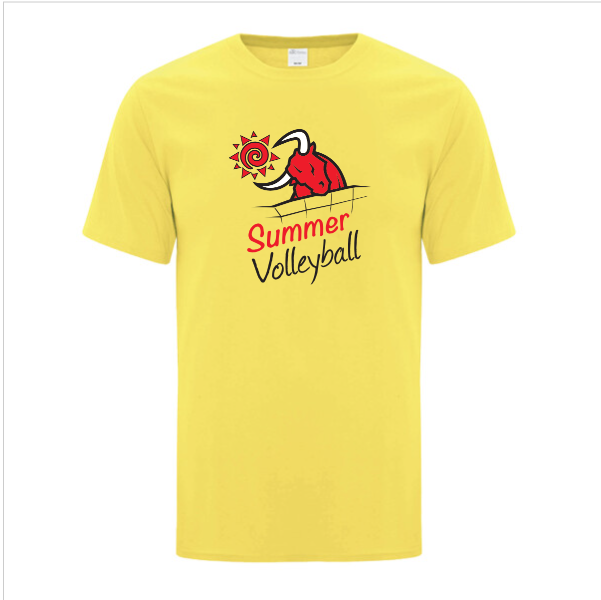 Summer Volleyball SS Tee
